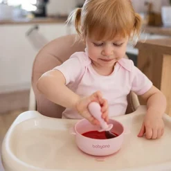 Babyono miseczka silikonowa z przyssawką i przykrywką dla dzieci