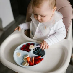 Babyono talerzyk silikonowy z przyssawką trójdzielny