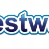 BESTWAY koło do pływania duży fotel wodny do siedzenia 107x113 cm 43730