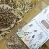 Otolandia kulki płatki ryżowe z kakao 150g